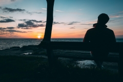 Am Rand des Gespensterwaldes stehen Bänke, von denen man wunderbar den Sonnenuntergang betrachten kann.