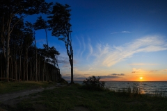 Panoramaaufnahme aus fünf Fotos. So lassen sich Wald und Sonnenuntergang am Besten auf ein Foto bringen.