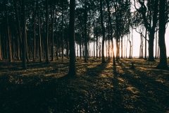 Gerade zum Sonnenuntergang lassen sich durch das Licht- und Schattenspiel tolle Aufnahmen machen.